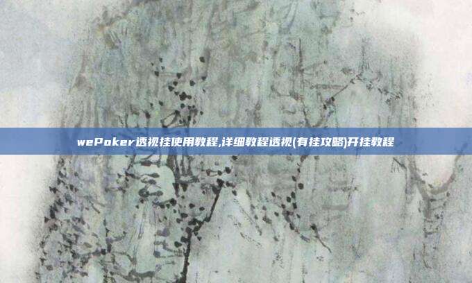 wePoker透视挂使用教程,详细教程透视(有挂攻略)开挂教程