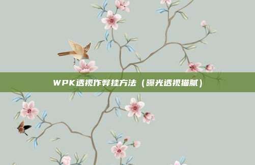 WPK透视作弊挂方法（曝光透视猫腻）