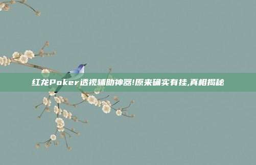 红龙Poker透视辅助神器!原来确实有挂,真相揭秘