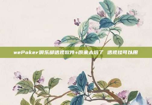 wePoker俱乐部透视软件+原来太坑了 透视挂可以用