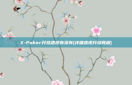 X-Poker开挂透视有没有(详细透视开挂教程)