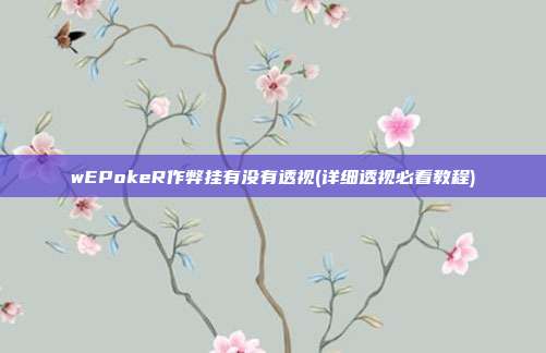 wEPokeR作弊挂有没有透视(详细透视必看教程)