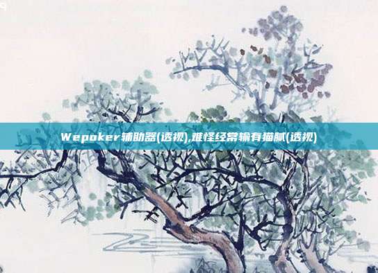 Wepoker辅助器(透视),难怪经常输有猫腻(透视)