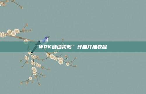 WPK能透视吗”详细开挂教程