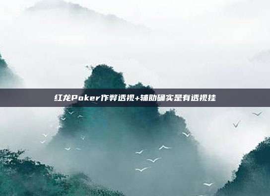 红龙Poker作弊透视+辅助确实是有透视挂