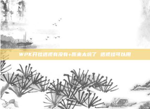 WPK开挂透视有没有+原来太坑了 透视挂可以用