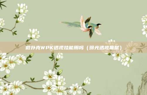 微扑克WPK透视挂能用吗（曝光透视猫腻）