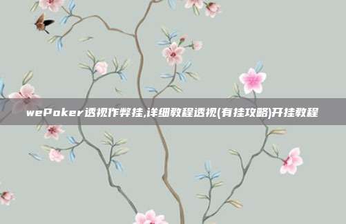 wePoker透视作弊挂,详细教程透视(有挂攻略)开挂教程