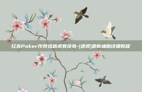 红龙Poker作弊挂透视有没有-(透视)最新辅助详细教程