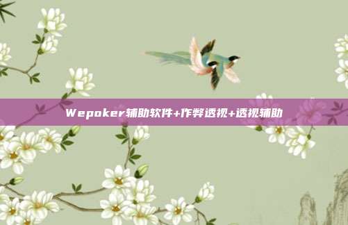 Wepoker辅助软件+作弊透视+透视辅助