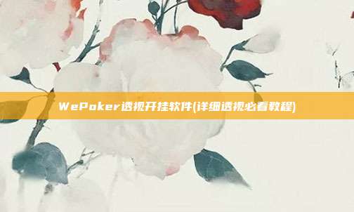 WePoker透视开挂软件(详细透视必看教程)