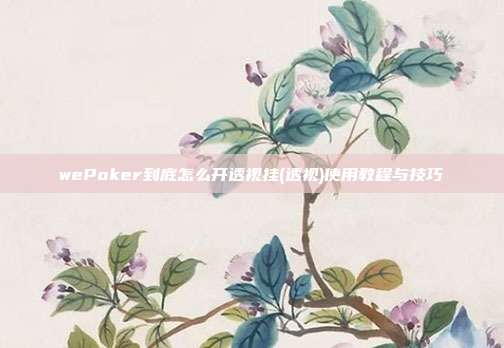 wePoker到底怎么开透视挂(透视)使用教程与技巧