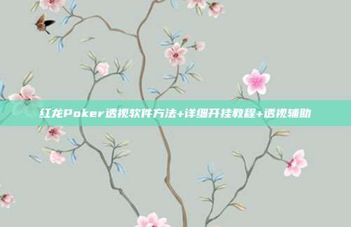 红龙Poker透视软件方法+详细开挂教程+透视辅助