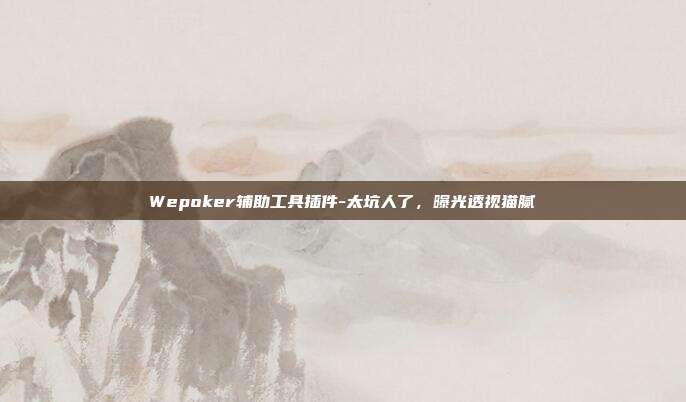 Wepoker辅助工具插件-太坑人了，曝光透视猫腻