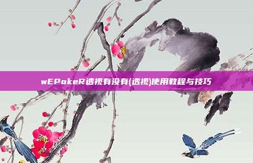 wEPokeR透视有没有(透视)使用教程与技巧