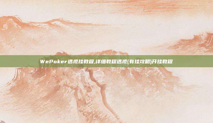 WePoker透视挂教程,详细教程透视(有挂攻略)开挂教程