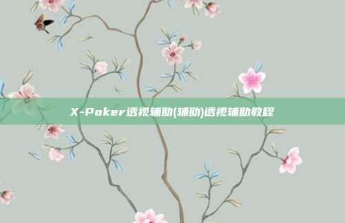 X-Poker透视辅助(辅助)透视辅助教程