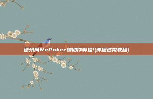 德州局WePoker辅助作弊挂!(详细透视教程)