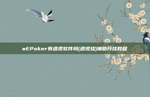 wEPoker有透视软件吗(透视挂)辅助开挂教程