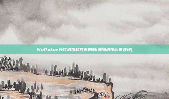 WePoker开挂透视软件真的吗(详细透视必看教程)