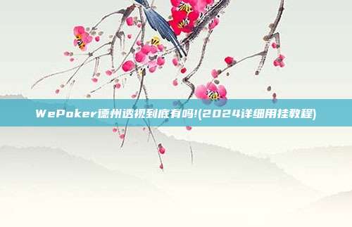 WePoker德州透视到底有吗!(2024详细用挂教程)