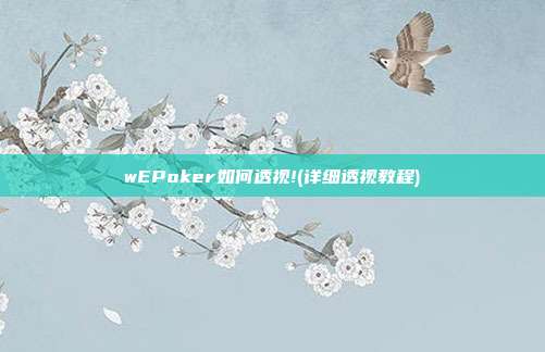 wEPoker如何透视!(详细透视教程)