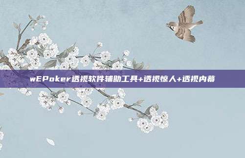 wEPoker透视软件辅助工具+透视惊人+透视内幕