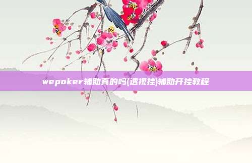 wepoker辅助真的吗(透视挂)辅助开挂教程