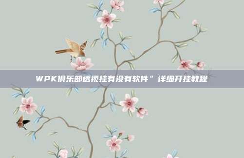 WPK俱乐部透视挂有没有软件”详细开挂教程