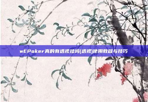 wEPoker真的有透视挂吗(透视)使用教程与技巧