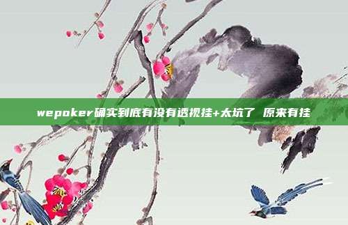 wepoker确实到底有没有透视挂+太坑了 原来有挂