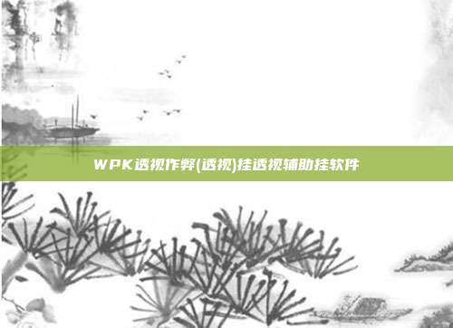 WPK透视作弊(透视)挂透视辅助挂软件