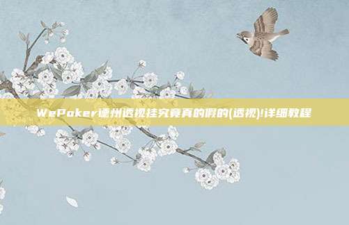 WePoker德州透视挂究竟真的假的(透视)!详细教程