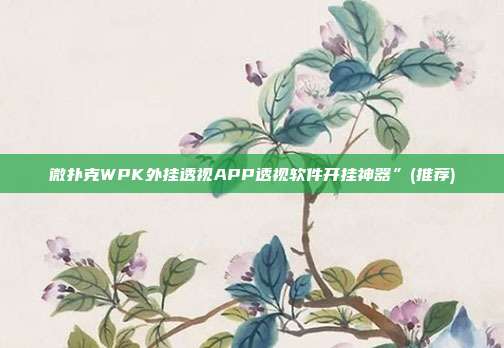 微扑克WPK外挂透视APP透视软件开挂神器”(推荐)