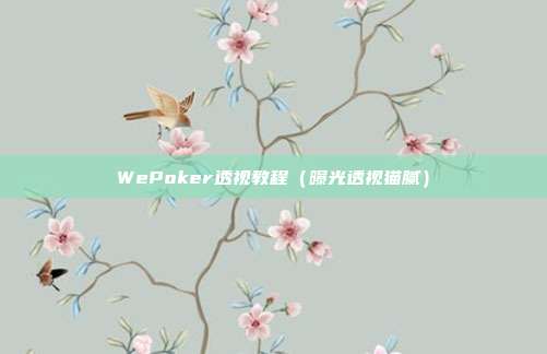 WePoker透视教程（曝光透视猫腻）