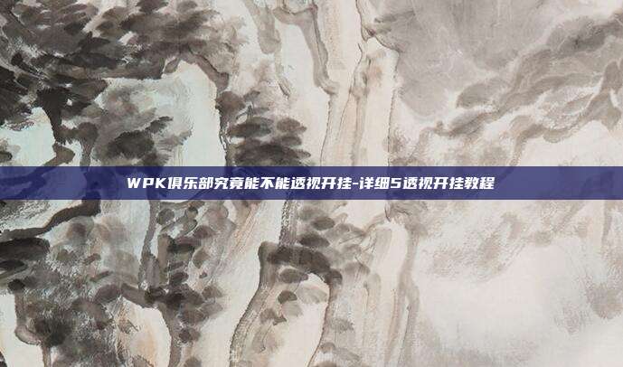 WPK俱乐部究竟能不能透视开挂-详细5透视开挂教程