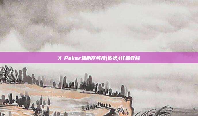 X-Poker辅助作弊挂(透视)!详细教程