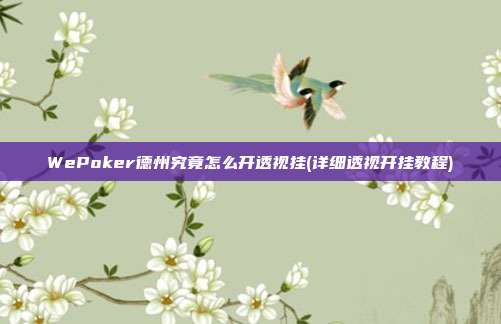 WePoker德州究竟怎么开透视挂(详细透视开挂教程)