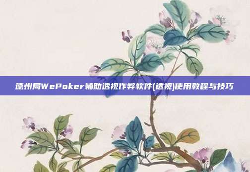 德州局WePoker辅助透视作弊软件(透视)使用教程与技巧