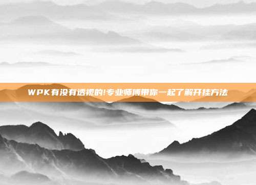 WPK有没有透视的!专业师傅带你一起了解开挂方法