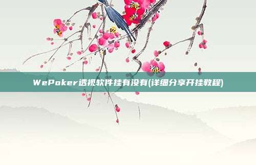 WePoker透视软件挂有没有(详细分享开挂教程)