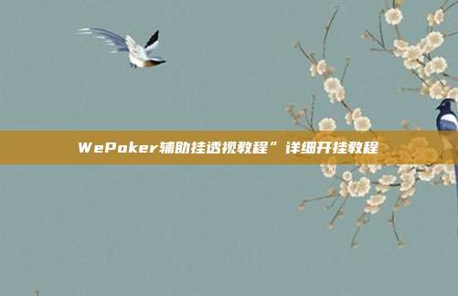 WePoker辅助挂透视教程”详细开挂教程