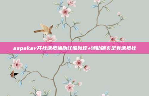 aapoker开挂透视辅助详细教程+辅助确实是有透视挂