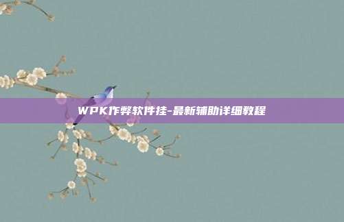 WPK作弊软件挂-最新辅助详细教程