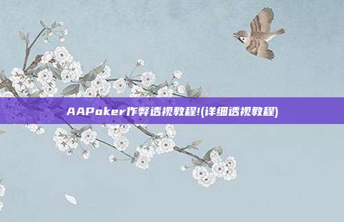 AAPoker作弊透视教程!(详细透视教程)