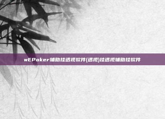 wEPoker辅助挂透视软件(透视)挂透视辅助挂软件