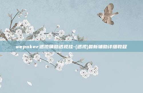 wepoker透视辅助透视挂-(透视)最新辅助详细教程