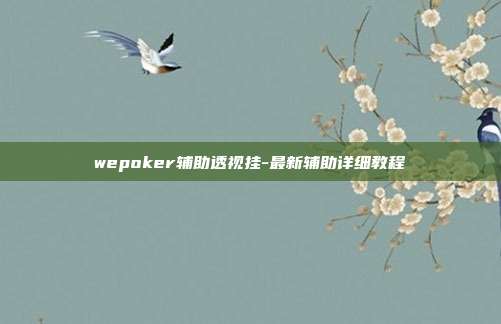 wepoker辅助透视挂-最新辅助详细教程