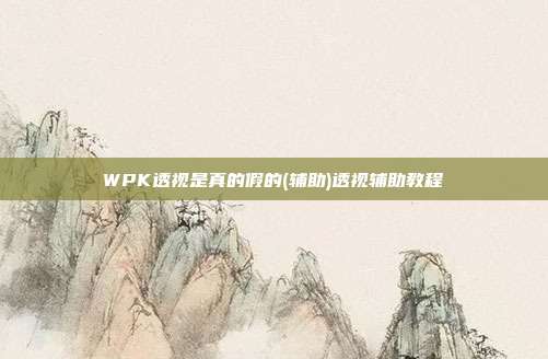 WPK透视是真的假的(辅助)透视辅助教程