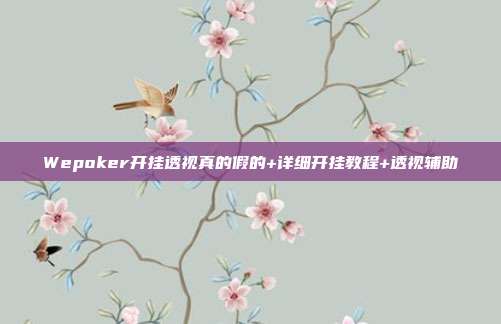 Wepoker开挂透视真的假的+详细开挂教程+透视辅助